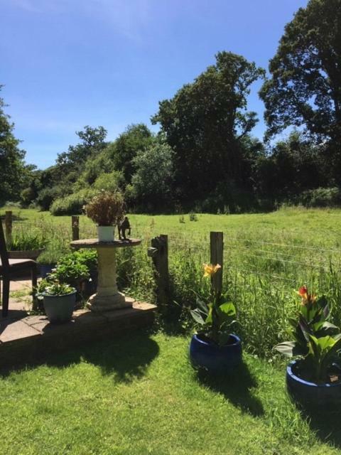 Bridge Cottage Midhurst Εξωτερικό φωτογραφία
